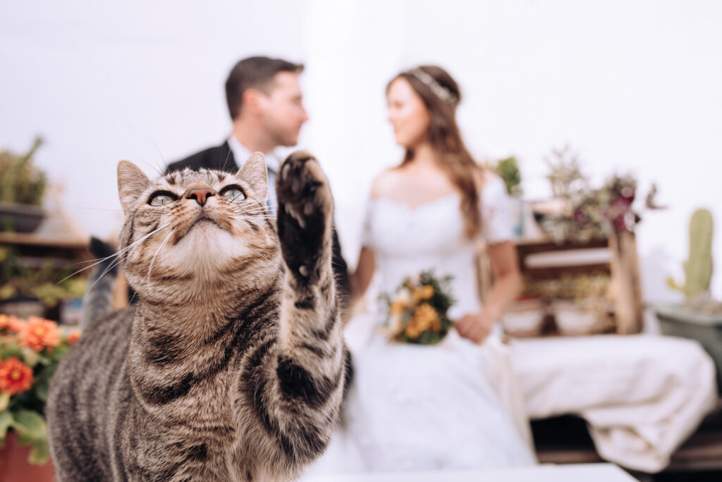 fotógrafo bodas zaragoza