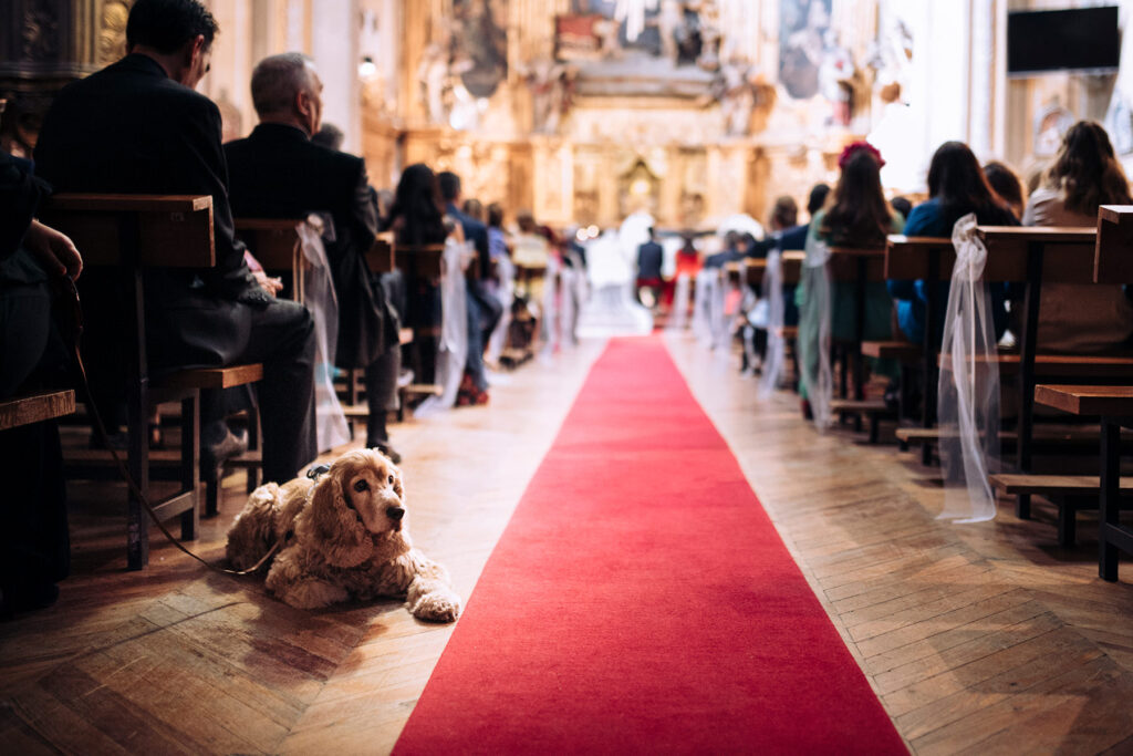 fotógrafo bodas Zaragoza